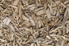 biomass boilers Lode